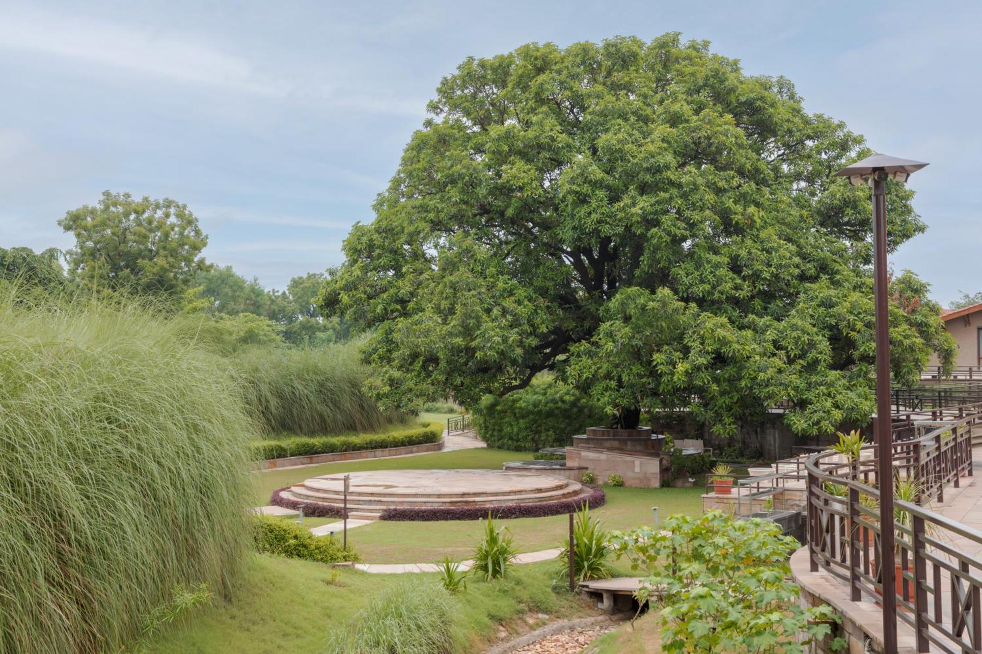 Aamaghati Wildlife Resort, Ranthambore Sawai Madhopur Εξωτερικό φωτογραφία